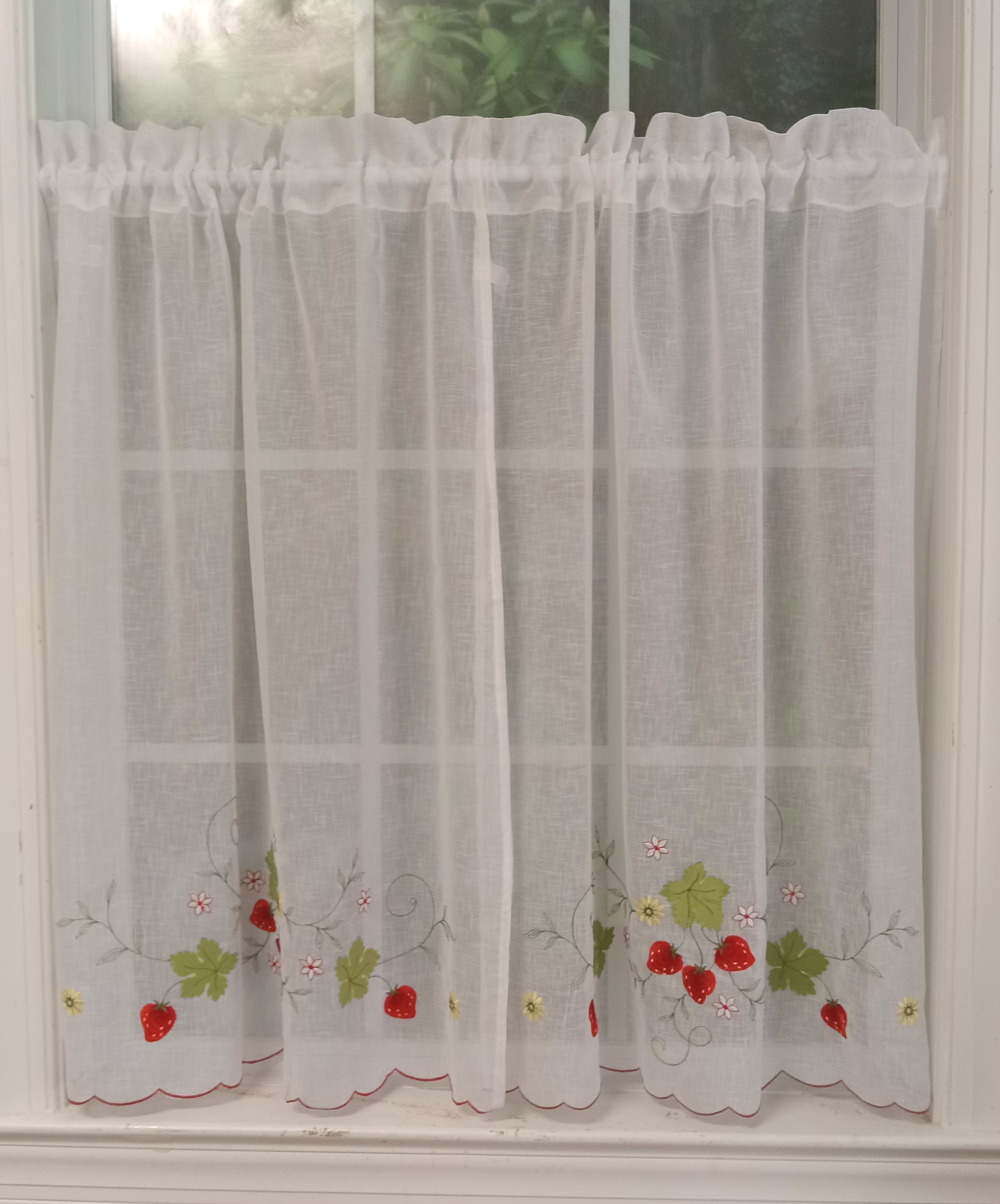 Strawberries Cafe Curtains Questions & Answers